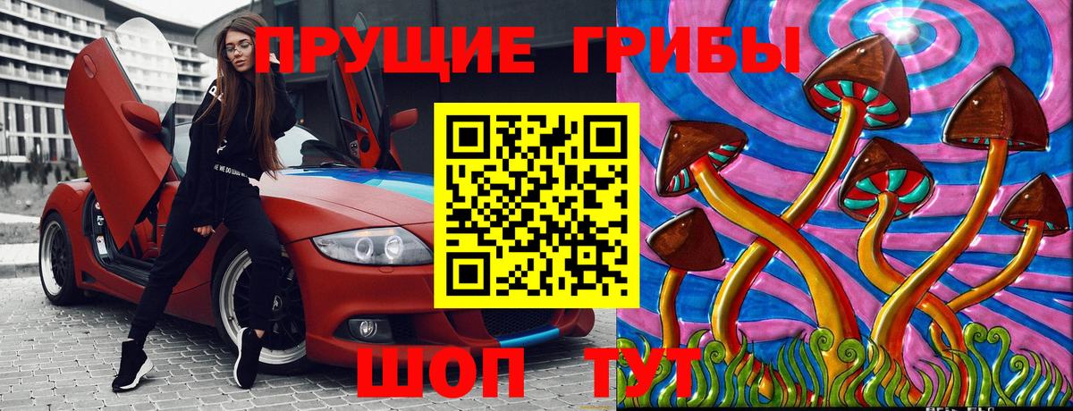 Кировск  Псилоцибиновые грибы прущие грибы  Псилоцибиновые грибы GOLDEN TEACHER  Вход с VPN 